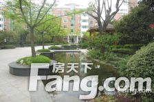 天安花园 联排大别墅 精装修 采光好 户型方正 院子大