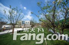 中南熙悦联排别墅 带院子带地下室,视野宽阔 采光充足