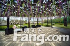 中创区南 中南熙悦洋房 边套 带前后大院子