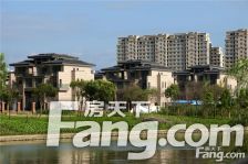 金通家园 双拼别墅 院子大 诚心出售