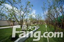 中创南 低密度社区联排别墅 带花园 地下车位