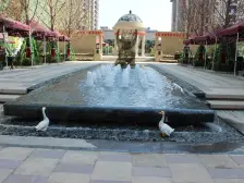 莫高大道 胖东来 中海三室 看房方便