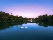 恒大金碧天下三期 3室2厅 南