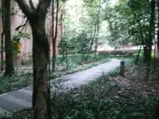 两路空港 红树林三房