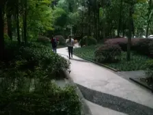 两路空港 红树林二房62万