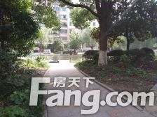 房子2013年的商品房, 南北通户型,全明,采光很好