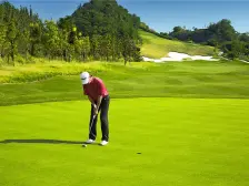 碧桂园纯别墅区 类独栋别墅 带车库带花园 单层面积150