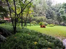 一楼带花园洋房 跃层 配套齐 轻轨站旁