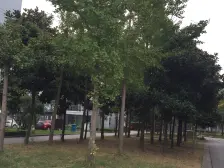 临港新片区 近万达、宝龙广场 南北通透,采光视野好