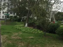 临港两房出售,地段繁华,近万达,户型好,采光佳