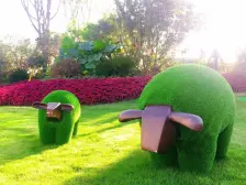 恒大御景半岛一期 3室2厅 南