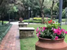 大竹林 江与城江城时光二房92万