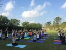 保利海棠 3室2厅 南