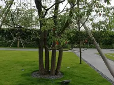 保利大品牌 全新未入住 看房方便