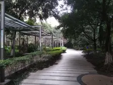 姐姐诚心卖!石桥广场精装小户型 采光好!带背包!