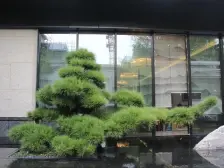 楼层适中 次新楼 户型方正实用 视野开阔