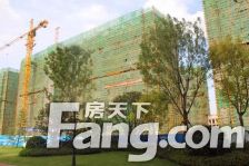 证过二,户型合理,环境优美,院子方正