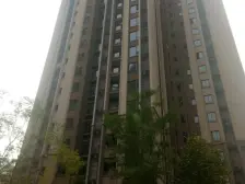 交通便利 轻轨在建 绿化好 配套全 清水跃层 3房双卫