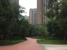 精装+拎包住+采光好+配套成熟+视野开阔