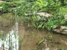 小区配套完善 交通便利,看房方便