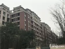 龙湖U城四组团 4室1厅 西