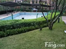 大学城 龙湖U城十组团(观蓝)四房150万