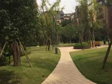 高新区龙湖轻轨花园洋房业主诚心出售