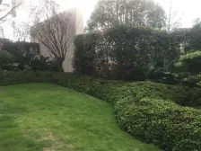 曹家湾金科大三房,大阳台,视野开阔