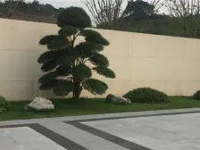 金科品质,户型好,采光视野具佳,清水三房。