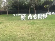 金科品质洋房,户型通透,采光好,视野开阔,新小区