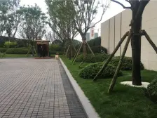 金科金辉美院B区 6室3厅 南