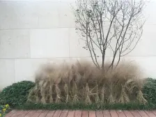 金科金辉美院B区 5室2厅 南