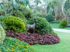 嘉定新城·西郊金茂府·3室·2厅