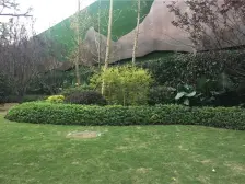金科品质洋房,户型通透,采光好,视野开阔,新小区
