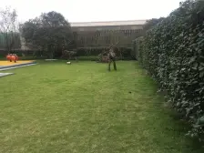 近轻轨 近天街 ,近江北 出行方便