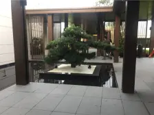 蔡家曹家湾,金科品质洋房端户带前后花园,带车位