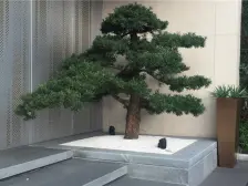 蔡家 金科集美嘉悦三期四房150万