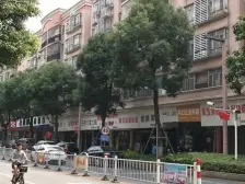 低楼层 保养好 近地铁 户型方正