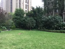 协信城立方玺院 4室2厅 南