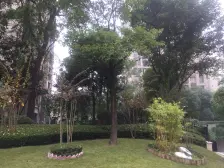 金科廊桥水乡D区 2室1厅 南 北