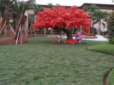 科学谷旁大三房双卫 望中庭 看湖景 位置安静不闹