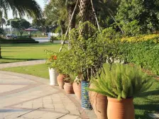 朝南,满五唯一,空气流通好,采光足。