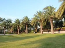 利丰中央公园1期 4室2厅 南 北