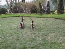 恒大品质小区,自持恒大金碧物业。大中庭,环境好