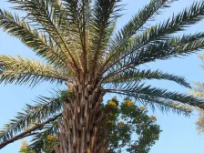 高楼层可以看江景,满五唯一随时可以看