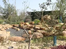 万达茂奥体中Xin地铁口,配套设施完善,次新小区