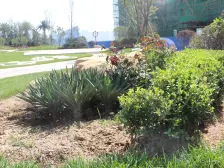 百郦湾顶跃复式毛坯北侧河景南侧中庭景观