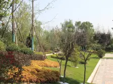 百郦湾四室,地铁口,万达茂,奥体