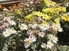 奥体地铁口百郦湾高层两居看房钥匙