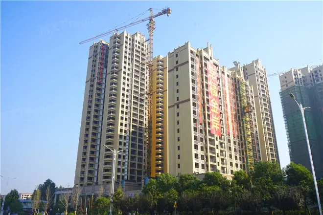 幸福金岸